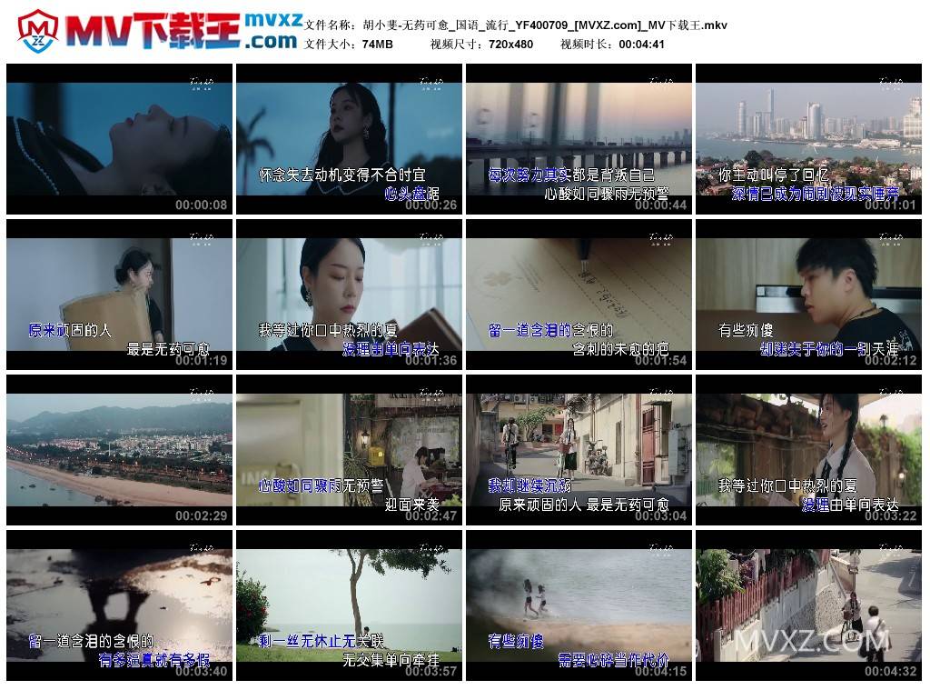 胡小斐-无药可愈_国语_流行_YF400709